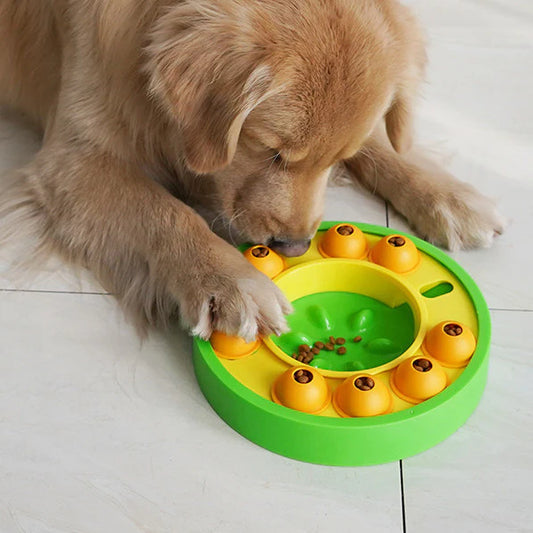 How to Choose the Perfect Toys for Your Pet