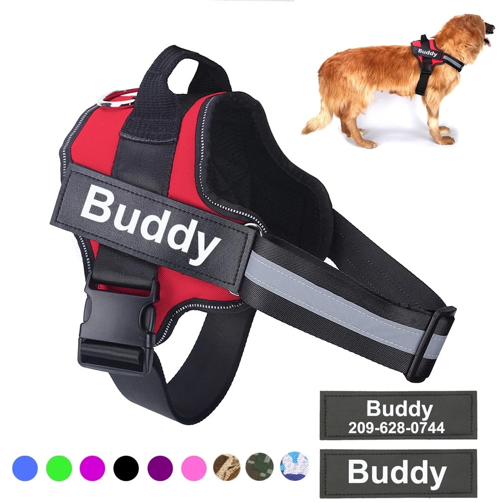 Dog & Cat Harnesses, Leashes, and Collars