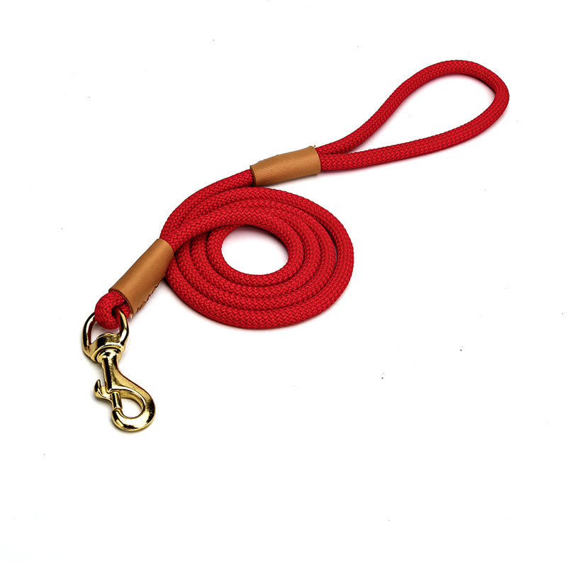 Lightweight Dog Leash Walking For Puppies - Pets Home