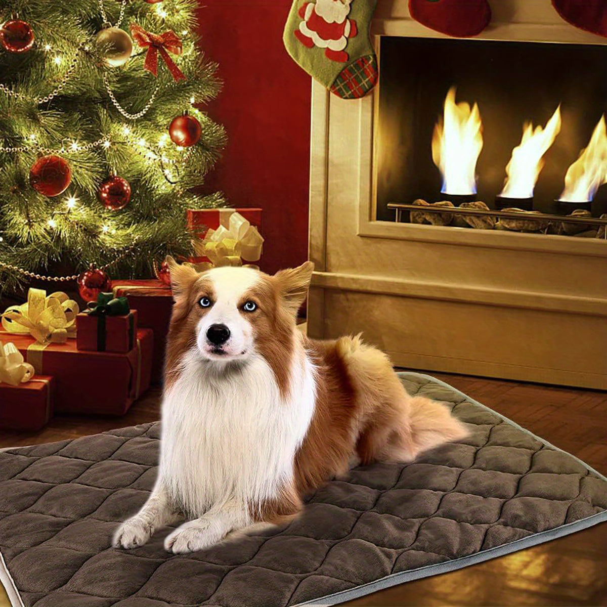 Dog Cat Bed, Cat Dog Non-Slip Mat, Extra Warm Thermal Pet Pad  Self-Heating Cat Mat Warm Thermal Pet Pad Washable Dog Crate Pad Heat Dog Cat Bed Mat Blanket Non-Slip Bottom For Outdoor And Indoor Pets - Pets Home