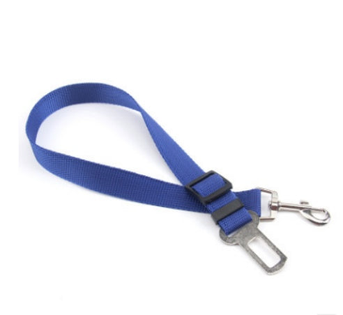 Fixed Strap Polyester Dog Strap Dog Leash Dog Leash - Pets Home