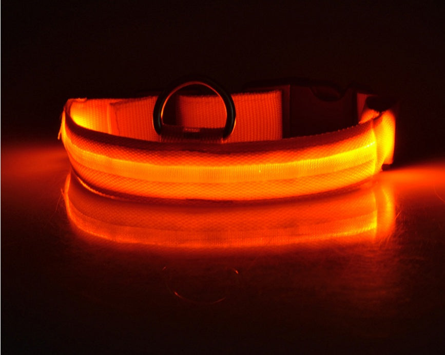 Nylon LED Pet Dog Luminous Collar Night Safety Flashing Glow in Dark Dog Cat Leash Adjustable Pet Supplies