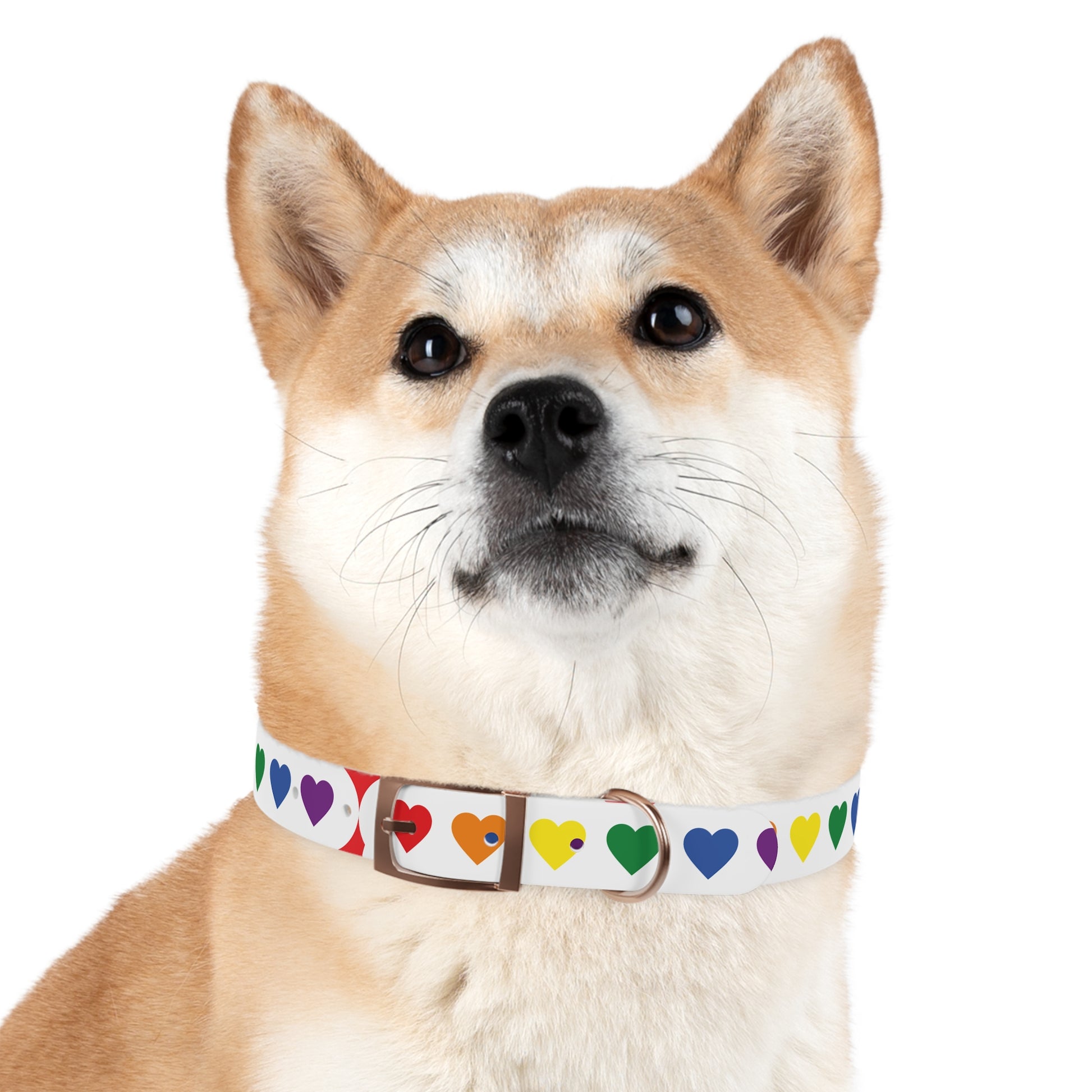 Dog Collar - Pets Home