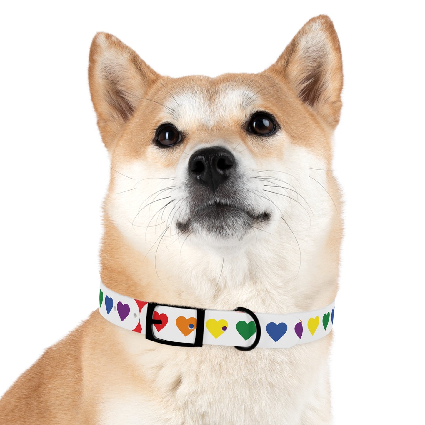 Dog Collar - Pets Home