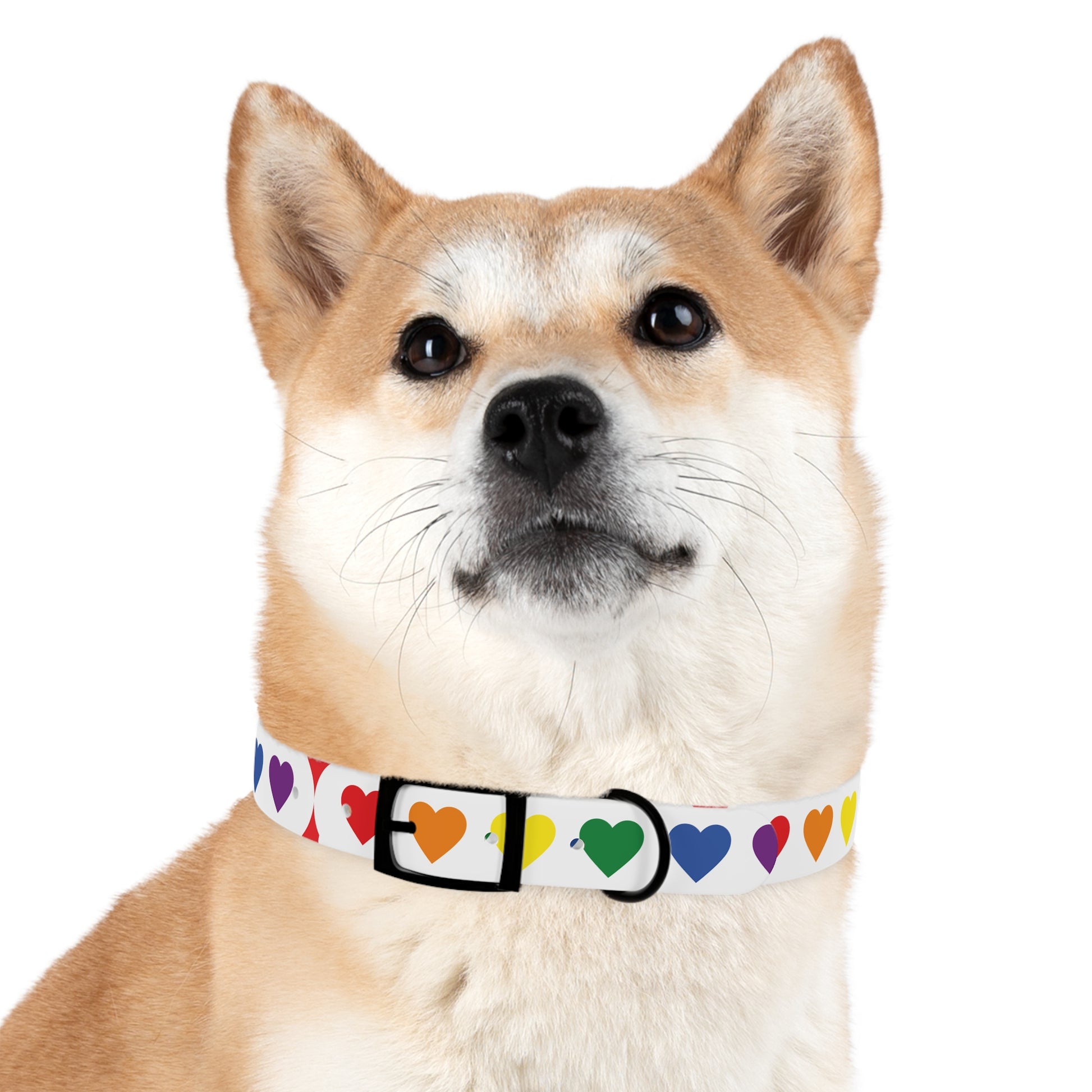 Dog Collar - Pets Home