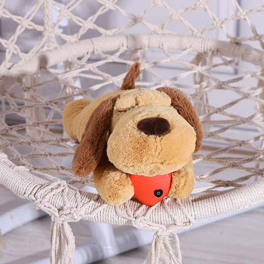 Heartbeat Puppy Training Toys Snuggle Anxiety Relieves Sleeping Dog Chewing - Pets Home