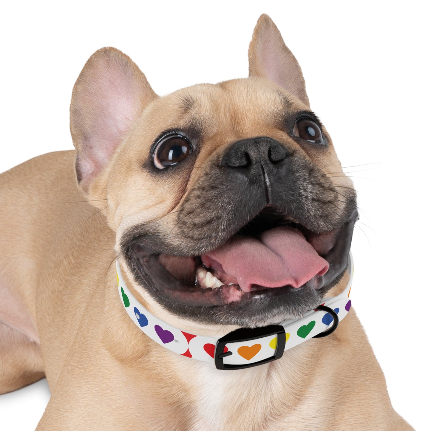 Dog Collar - Pets Home