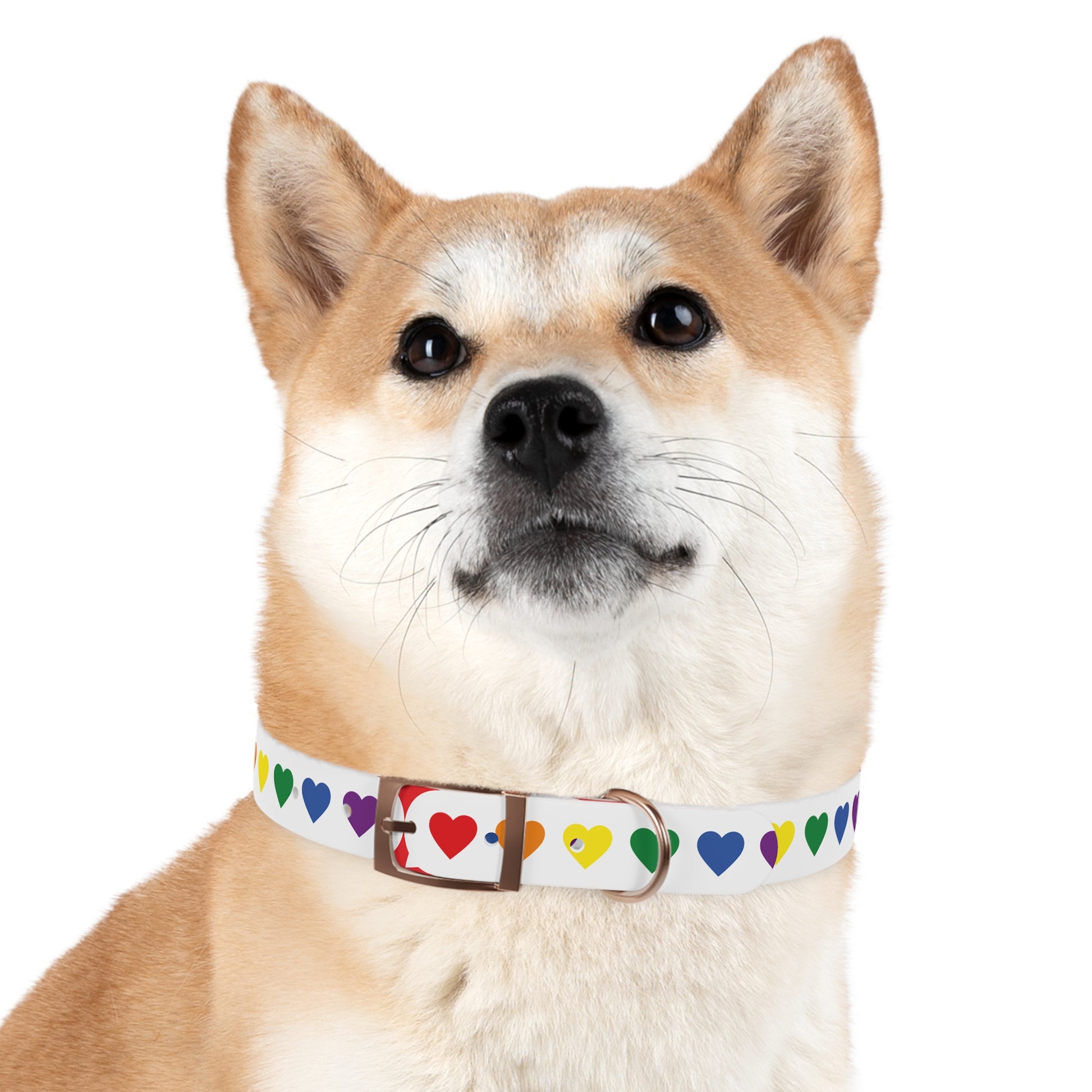 Dog Collar - Pets Home