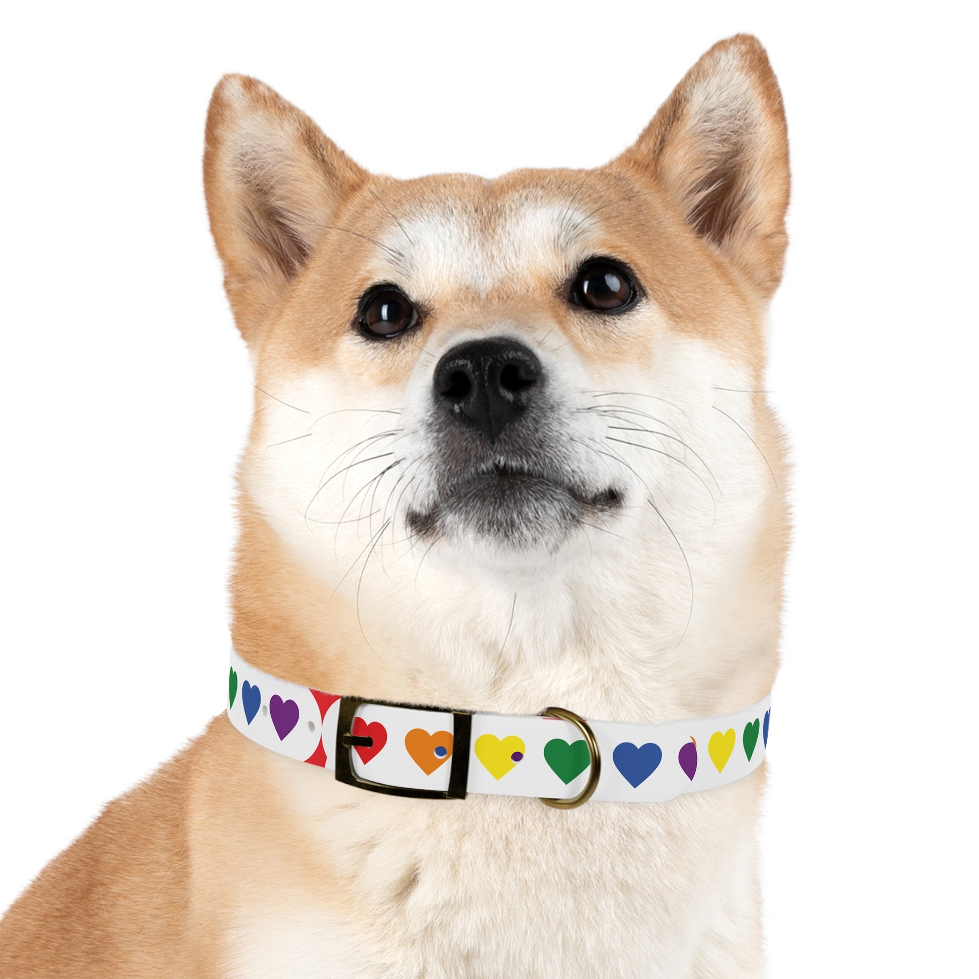 Dog Collar - Pets Home