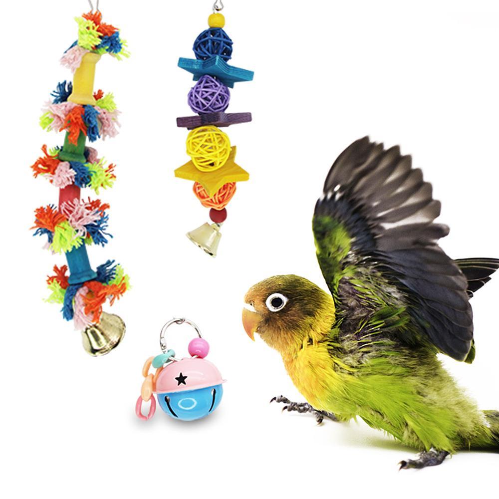 Parrot nibbles a toy