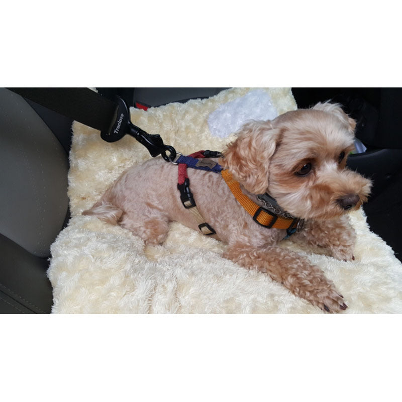 Dog seat belt - Pets Home