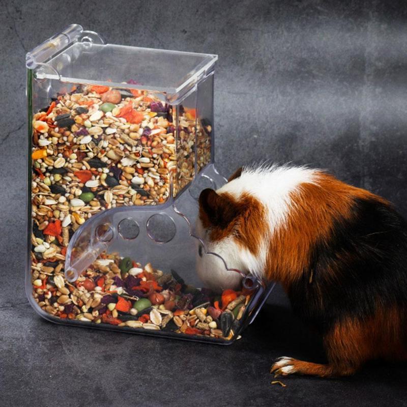 Hamster Feeder Food Box Can Be Fixed