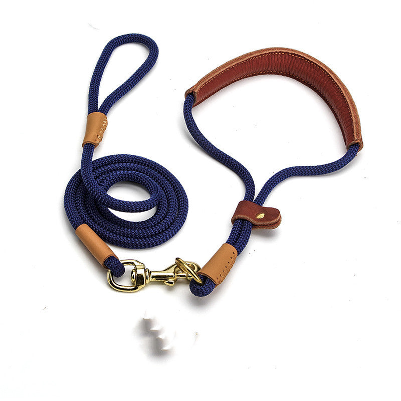 Lightweight Dog Leash Walking For Puppies - Pets Home