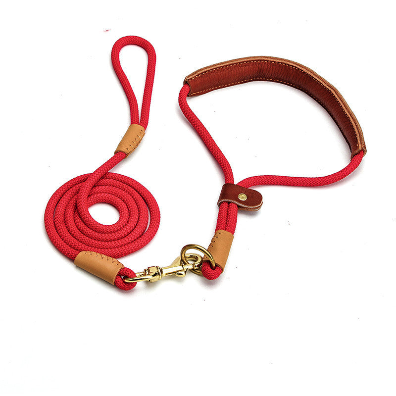 Lightweight Dog Leash Walking For Puppies - Pets Home