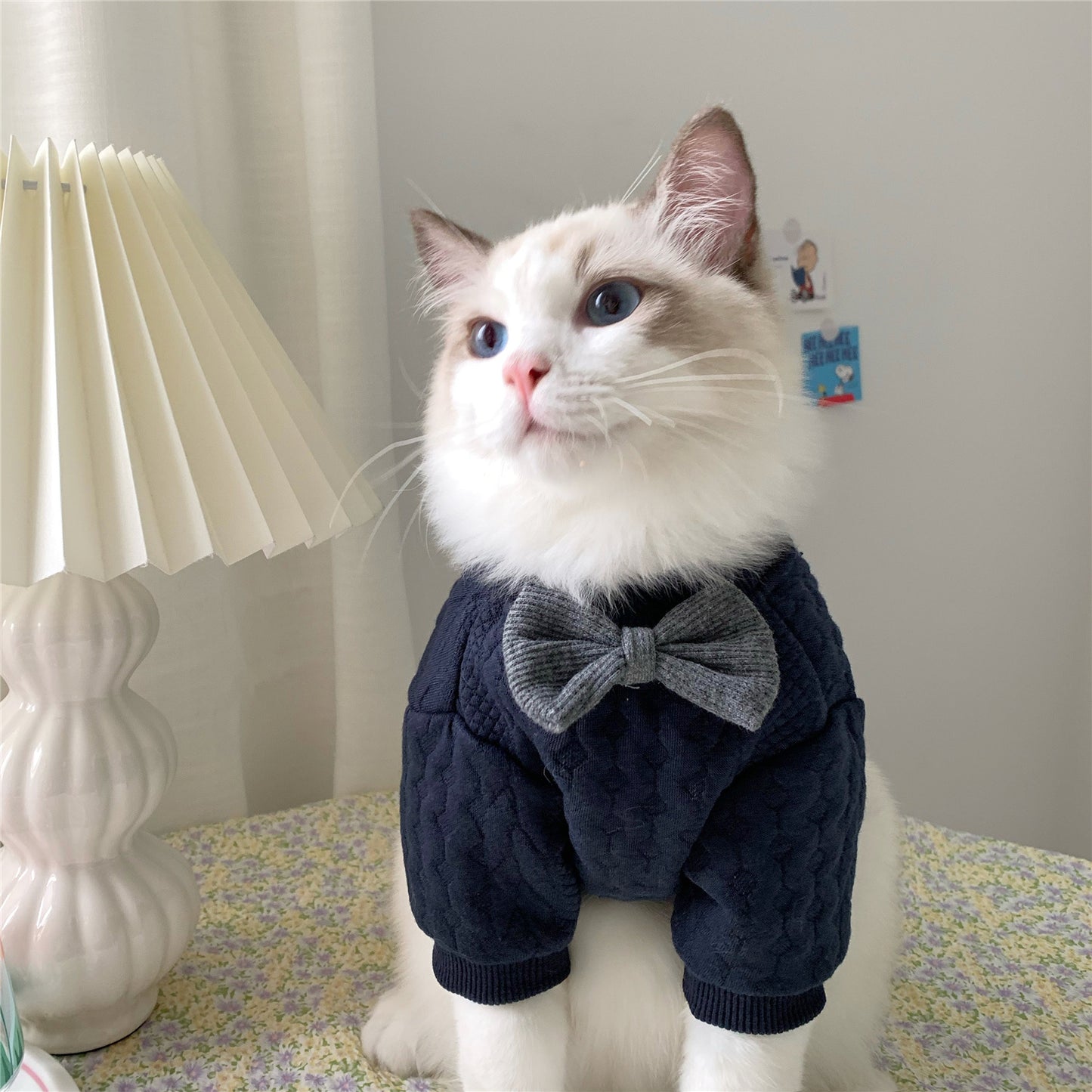 Warm And Cute Clothes For Pets Feet - Pets Home