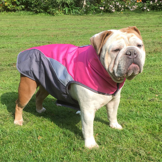 Waterproof outdoor poncho for pets - Pets Home