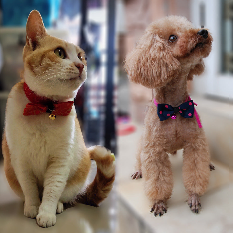 Pet accessories pet bow - Pets Home