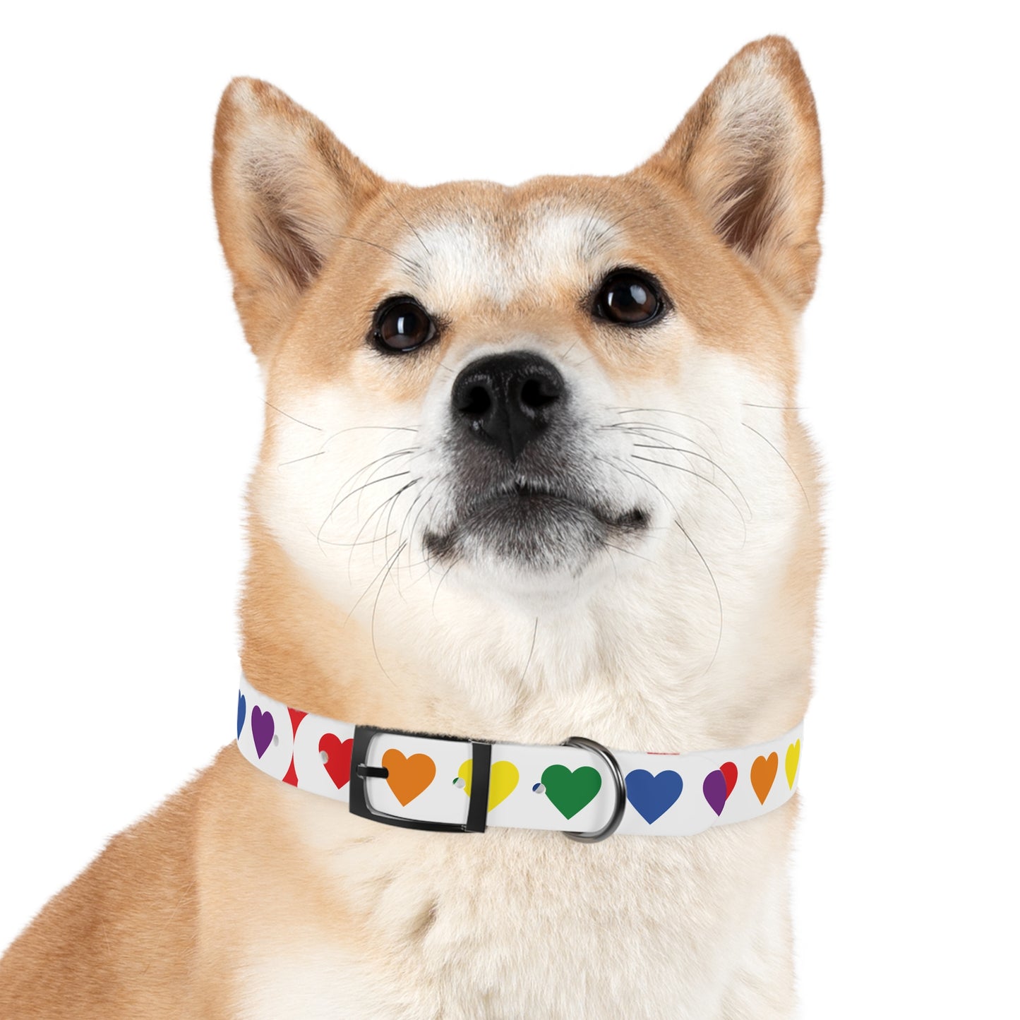 Dog Collar - Pets Home