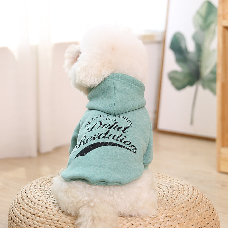 clothes for pets - Pets Home