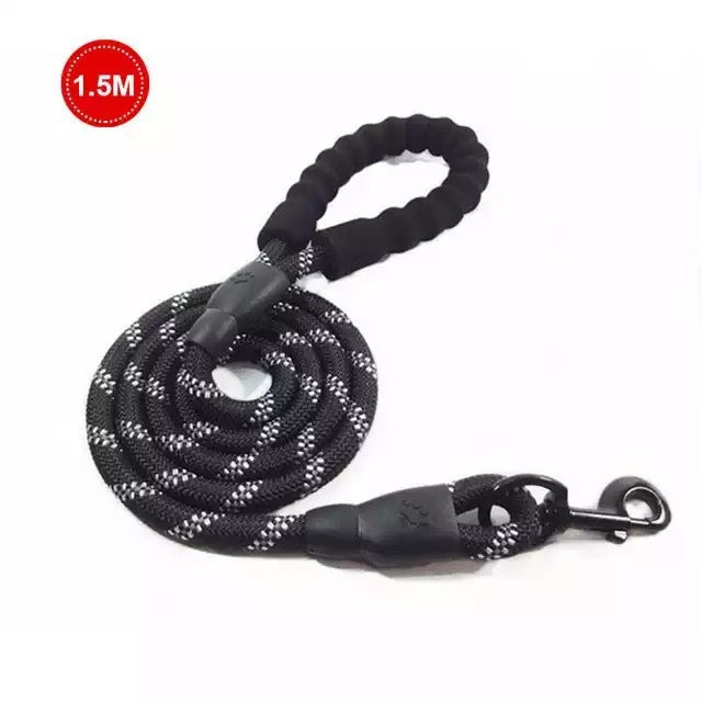 Small Medium Sized Pet Dog Luminous Leash Chain Puppies - Pets Home