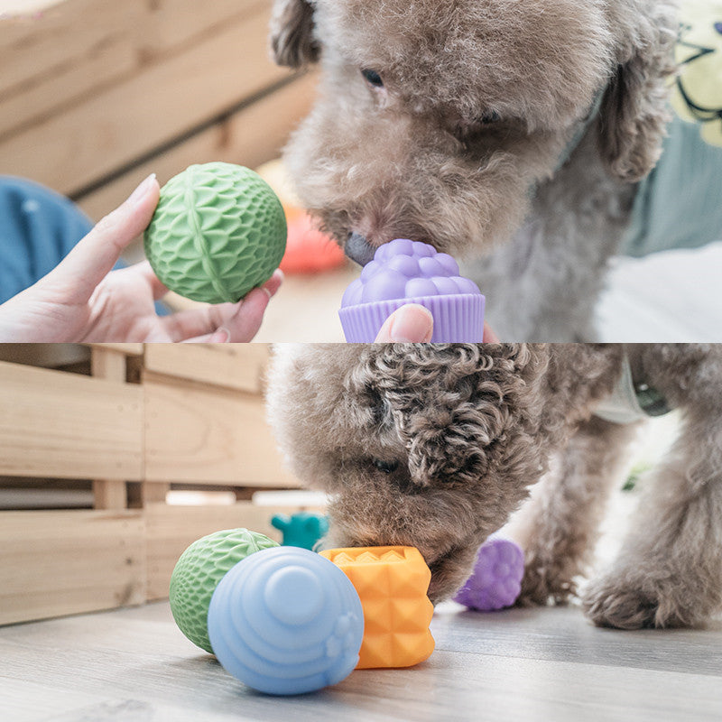 Molar Toy Set Chews Puppies To Relieve Boredom - Pets Home