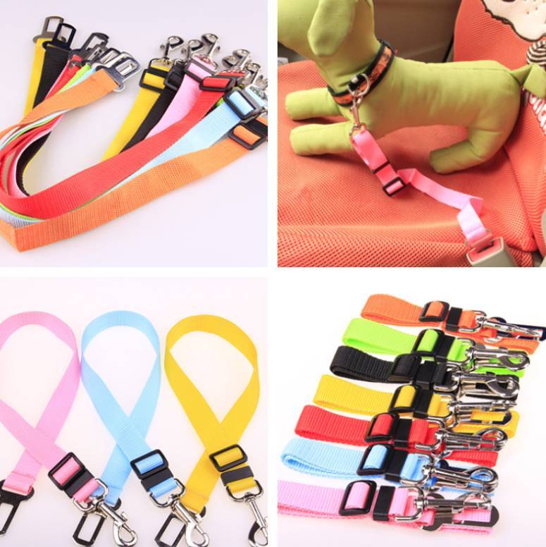 Fixed Strap Polyester Dog Strap Dog Leash Dog Leash - Pets Home