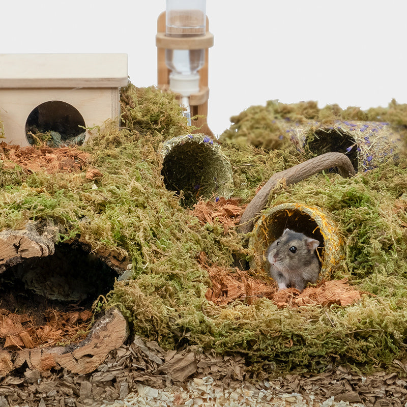 Home Hamster Tunnel Grass Toy