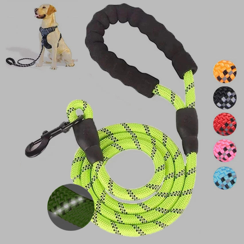 Small Medium Sized Pet Dog Luminous Leash Chain Puppies - Pets Home