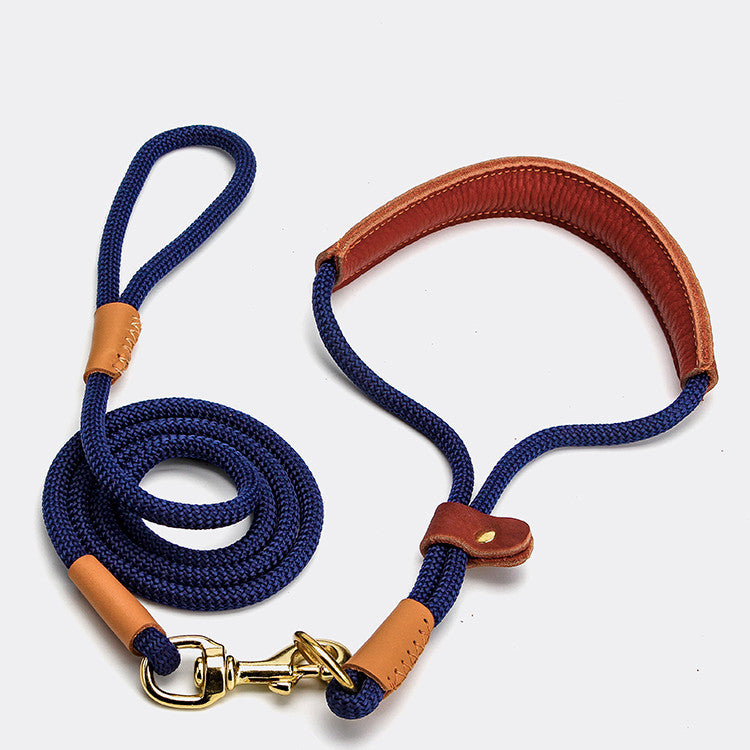 Lightweight Dog Leash Walking For Puppies - Pets Home