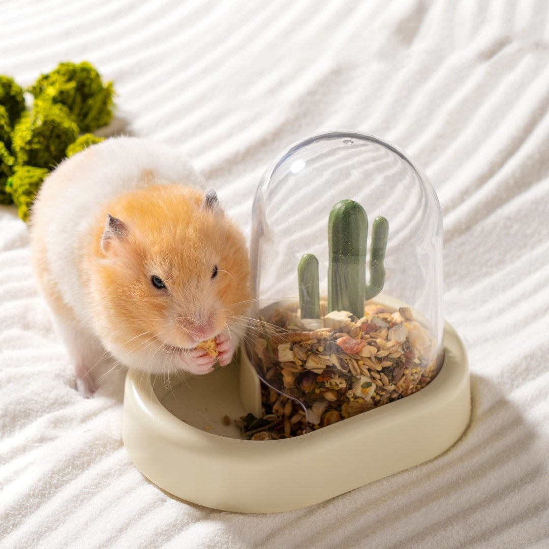 Home Hamster Creative Cactus Automatic Feeder