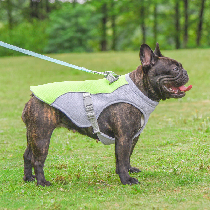 Summer Pet Dog Cooling Vest Heat Resistant Cool Dogs Clothes Breathable Sun-proof Clothing For Small Large Dogs Outdoor Walking - Pets Home