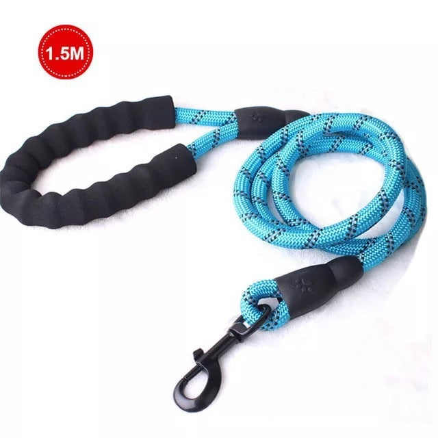 Small Medium Sized Pet Dog Luminous Leash Chain Puppies - Pets Home